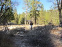 Filename=IMG_0403.JPG
Filesize=963KiB
Dimensions=2048x1536
Date added=Feb 01, 2018 IMG_0403.JPG