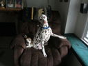 Filename=IMG_0413.JPG
Filesize=276KiB
Dimensions=2048x1536
Date added=Feb 01, 2018 IMG_0413.JPG