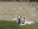 Filename=IMG_0428.JPG
Filesize=798KiB
Dimensions=2048x1536
Date added=Feb 01, 2018 IMG_0428.JPG