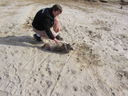 Filename=IMG_0440.JPG
Filesize=751KiB
Dimensions=2048x1536
Date added=Feb 01, 2018 IMG_0440.JPG