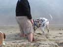 Filename=IMG_0446.JPG
Filesize=440KiB
Dimensions=2048x1536
Date added=Feb 01, 2018 IMG_0446.JPG
