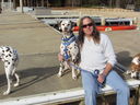 Filename=IMG_0457.JPG
Filesize=525KiB
Dimensions=2048x1536
Date added=Feb 01, 2018 IMG_0457.JPG