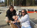 Filename=IMG_0460.JPG
Filesize=495KiB
Dimensions=2048x1536
Date added=Feb 01, 2018 IMG_0460.JPG