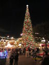 Filename=IMG_0481.JPG
Filesize=415KiB
Dimensions=1536x2048
Date added=Feb 01, 2018 IMG_0481.JPG