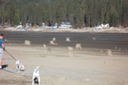 Filename=SAM_0383.JPG
Filesize=188KiB
Dimensions=2048x1365
Date added=Feb 01, 2018 SAM_0383.JPG
