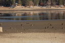 Filename=SAM_0386.JPG
Filesize=364KiB
Dimensions=2048x1365
Date added=Feb 01, 2018 SAM_0386.JPG