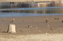 Filename=SAM_0387.JPG
Filesize=325KiB
Dimensions=2048x1365
Date added=Feb 01, 2018 SAM_0387.JPG