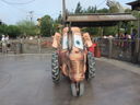 Filename=IMG_1022.JPG
Filesize=470KiB
Dimensions=2048x1536
Date added=Feb 01, 2018 IMG_1022.JPG