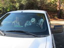 Filename=IMG_1064.JPG
Filesize=486KiB
Dimensions=2048x1536
Date added=Feb 01, 2018 IMG_1064.JPG