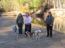 Filename=IMG_1091.JPG
Filesize=817KiB
Dimensions=2048x1536
Date added=Feb 01, 2018 IMG_1091.JPG