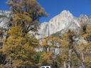 Filename=IMG_1095.JPG
Filesize=1018KiB
Dimensions=2048x1536
Date added=Feb 01, 2018 IMG_1095.JPG