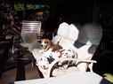 Filename=100_1220.jpg
Filesize=400KiB
Dimensions=2047x1533
Date added=Feb 01, 2018 100_1220.jpg