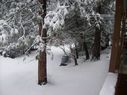 Filename=100_0726.JPG
Filesize=458KiB
Dimensions=2047x1534
Date added=Feb 01, 2018 100_0726.JPG