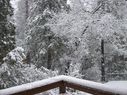 Filename=100_0727.JPG
Filesize=799KiB
Dimensions=2047x1534
Date added=Feb 01, 2018 100_0727.JPG
