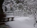 Filename=100_0728.JPG
Filesize=602KiB
Dimensions=2047x1534
Date added=Feb 01, 2018 100_0728.JPG