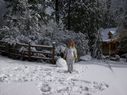 Filename=100_0735.JPG
Filesize=568KiB
Dimensions=2047x1534
Date added=Feb 01, 2018 100_0735.JPG
