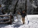 Filename=100_0736.JPG
Filesize=648KiB
Dimensions=2047x1534
Date added=Feb 01, 2018 100_0736.JPG