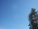 Filename=100_0741.JPG
Filesize=246KiB
Dimensions=2047x1534
Date added=Feb 01, 2018 100_0741.JPG