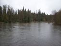 Filename=100_0865.JPG
Filesize=443KiB
Dimensions=2047x1534
Date added=Feb 01, 2018 100_0865.JPG