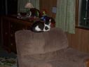 Filename=100_1340.JPG
Filesize=400KiB
Dimensions=2047x1534
Date added=Feb 01, 2018 100_1340.JPG