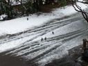 Filename=100_1347.JPG
Filesize=500KiB
Dimensions=2047x1534
Date added=Feb 01, 2018 100_1347.JPG