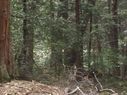 Filename=100_1356.JPG
Filesize=492KiB
Dimensions=2047x1534
Date added=Feb 01, 2018 100_1356.JPG