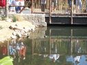 Filename=103_0014.JPG
Filesize=532KiB
Dimensions=2047x1534
Date added=Feb 01, 2018 103_0014.JPG