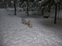 Filename=100_0656.JPG
Filesize=311KiB
Dimensions=2047x1534
Date added=Feb 01, 2018 100_0656.JPG