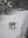 Filename=100_0660.JPG
Filesize=368KiB
Dimensions=1534x2047
Date added=Feb 01, 2018 100_0660.JPG