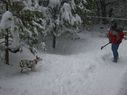 Filename=100_0663.JPG
Filesize=381KiB
Dimensions=2047x1534
Date added=Feb 01, 2018 100_0663.JPG