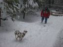 Filename=100_0664.JPG
Filesize=306KiB
Dimensions=2047x1534
Date added=Feb 01, 2018 100_0664.JPG