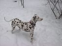 Filename=100_0665.JPG
Filesize=215KiB
Dimensions=2047x1534
Date added=Feb 01, 2018 100_0665.JPG