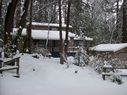 Filename=100_0674.JPG
Filesize=600KiB
Dimensions=2047x1534
Date added=Feb 01, 2018 100_0674.JPG