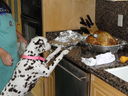 Filename=DSC00002.JPG
Filesize=418KiB
Dimensions=2048x1536
Date added=Feb 01, 2018 DSC00002.JPG