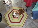 Filename=DSC00004.JPG
Filesize=574KiB
Dimensions=2048x1536
Date added=Feb 01, 2018 DSC00004.JPG