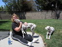 Filename=IMG_0005.JPG
Filesize=817KiB
Dimensions=2048x1536
Date added=Feb 01, 2018 IMG_0005.JPG