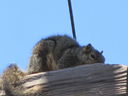 Filename=IMG_0007.JPG
Filesize=296KiB
Dimensions=2048x1536
Date added=Feb 01, 2018 IMG_0007.JPG