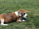 Filename=IMG_0009.JPG
Filesize=991KiB
Dimensions=2048x1536
Date added=Feb 01, 2018 IMG_0009.JPG