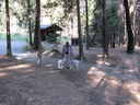 Filename=IMG_0049.JPG
Filesize=644KiB
Dimensions=2048x1536
Date added=Feb 01, 2018 IMG_0049.JPG