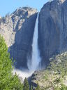 Filename=IMG_0051.JPG
Filesize=659KiB
Dimensions=1536x2048
Date added=Feb 01, 2018 IMG_0051.JPG