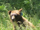 Filename=IMG_0062.JPG
Filesize=485KiB
Dimensions=2048x1536
Date added=Feb 01, 2018 IMG_0062.JPG