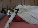 Filename=IMG_0723.jpg
Filesize=312KiB
Dimensions=2048x1536
Date added=Feb 01, 2018 IMG_0723.jpg