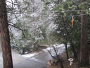 Filename=IMG_0727.jpg
Filesize=595KiB
Dimensions=2048x1536
Date added=Feb 01, 2018 IMG_0727.jpg