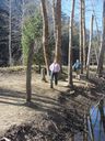 Filename=IMG_0741.jpg
Filesize=915KiB
Dimensions=1536x2048
Date added=Feb 01, 2018 IMG_0741.jpg