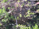 Filename=IMG_0777.jpg
Filesize=705KiB
Dimensions=2048x1536
Date added=Feb 01, 2018 IMG_0777.jpg