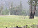 Filename=IMG_0802.JPG
Filesize=392KiB
Dimensions=2048x1536
Date added=Feb 01, 2018 IMG_0802.JPG