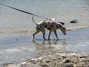 Filename=IMG_0813.JPG
Filesize=651KiB
Dimensions=2048x1536
Date added=Feb 01, 2018 IMG_0813.JPG