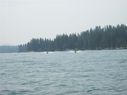 Filename=100_0263.JPG
Filesize=229KiB
Dimensions=2047x1534
Date added=Feb 01, 2018 100_0263.JPG