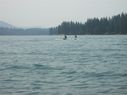 Filename=100_0264.JPG
Filesize=266KiB
Dimensions=2047x1534
Date added=Feb 01, 2018 100_0264.JPG