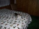 Filename=100_0293.JPG
Filesize=368KiB
Dimensions=2047x1534
Date added=Feb 01, 2018 100_0293.JPG
